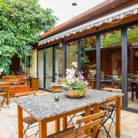 4 Oasis De Tranquilidad En Tenerife Apartment La Orotava